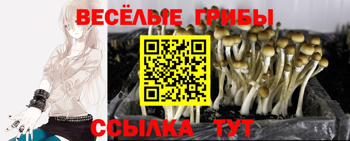 Галлюциногенные грибы ЛСД  Вход с VPN  Троицк 