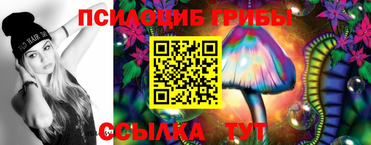 Псилоцибиновые грибы Magic Shrooms Троицк